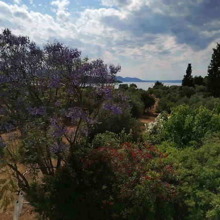Ioanna Drossia Drosia (Central Greece)