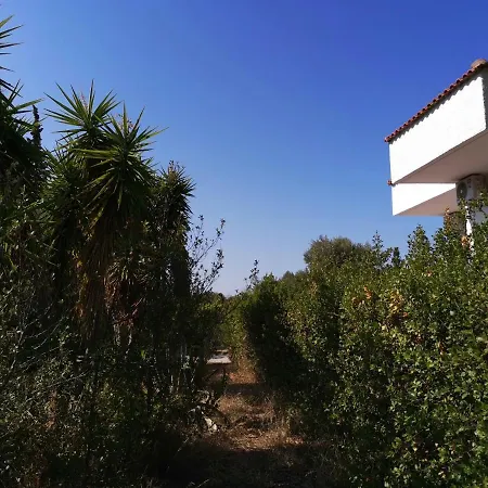 Ioanna Drossia Villa Drosia (Central Greece)
