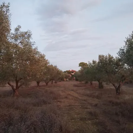 וילה Ioanna Drossia *